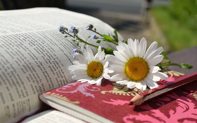 Book with flower